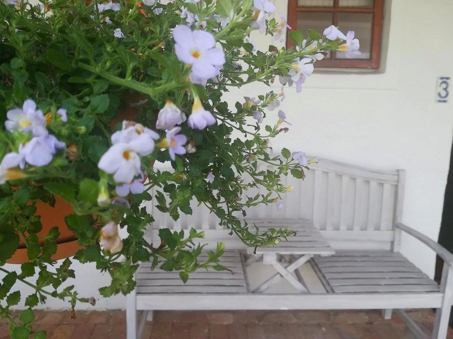 Kaijaiki Country Inn And Restaurant Yzerfontein Værelse billede
